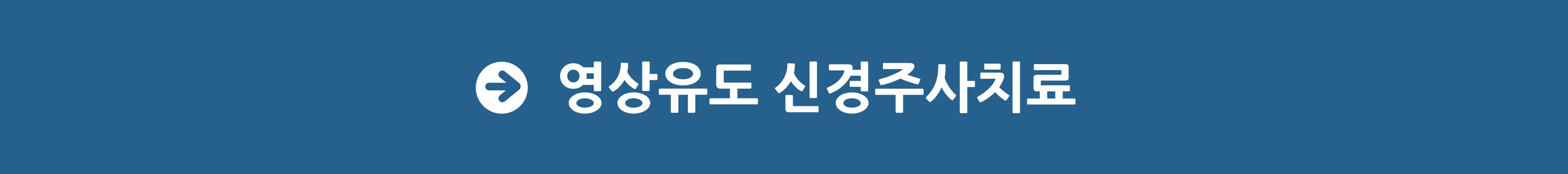 영상유도신경주사치료-001.jpg